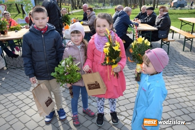Zdjęcie w galerii na portalu naszwodzislaw.com: Festiwal Palmy w mszańskim parku za nami wiadomości z regionu