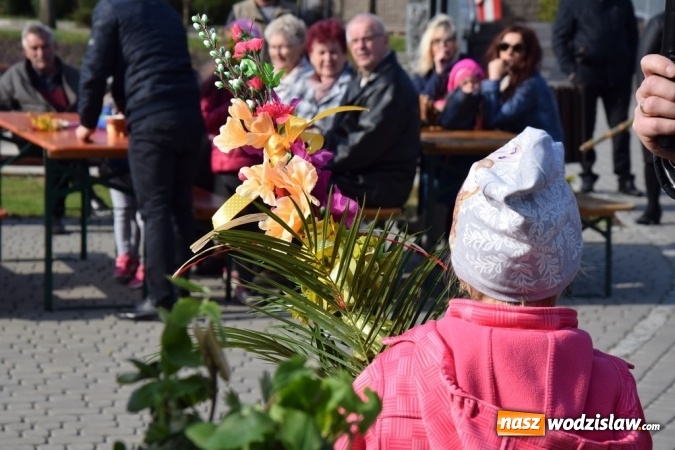 Zdjęcie w galerii na portalu naszwodzislaw.com: Festiwal Palmy w mszańskim parku za nami wiadomości z regionu