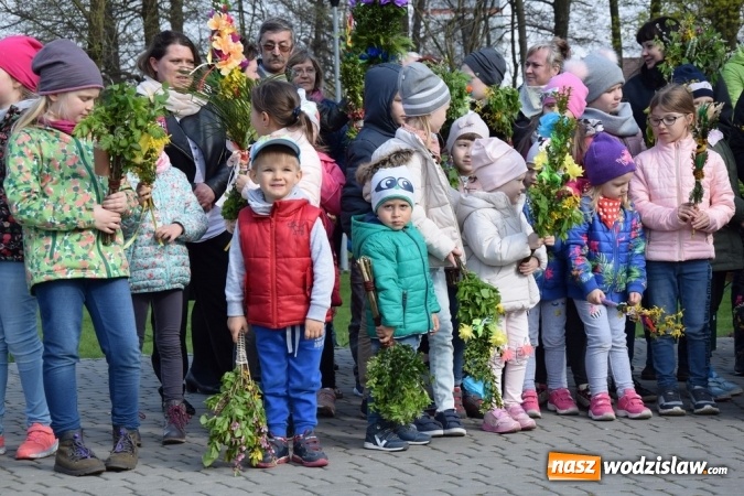 Zdjęcie w galerii na portalu naszwodzislaw.com: Festiwal Palmy w mszańskim parku za nami wiadomości z regionu
