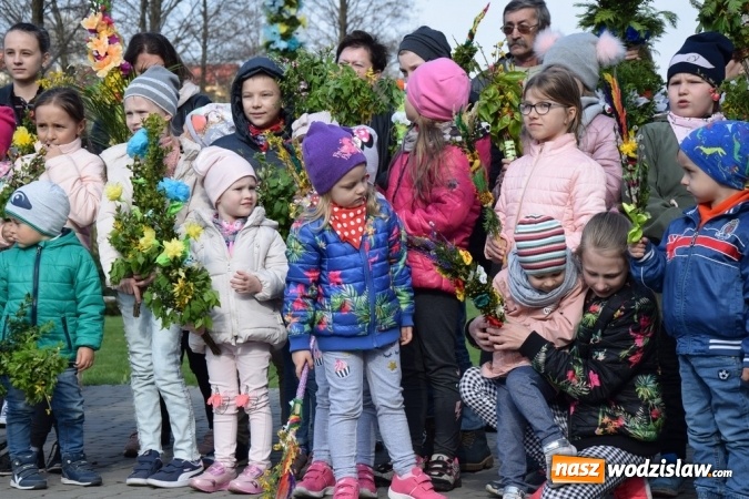Zdjęcie w galerii na portalu naszwodzislaw.com: Festiwal Palmy w mszańskim parku za nami wiadomości z regionu