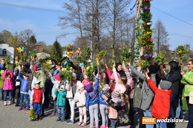 Zdjęcie w galerii na portalu naszwodzislaw.com: Festiwal Palmy w mszańskim parku za nami wiadomości z regionu