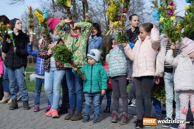 Zdjęcie w galerii na portalu naszwodzislaw.com: Festiwal Palmy w mszańskim parku za nami wiadomości z regionu