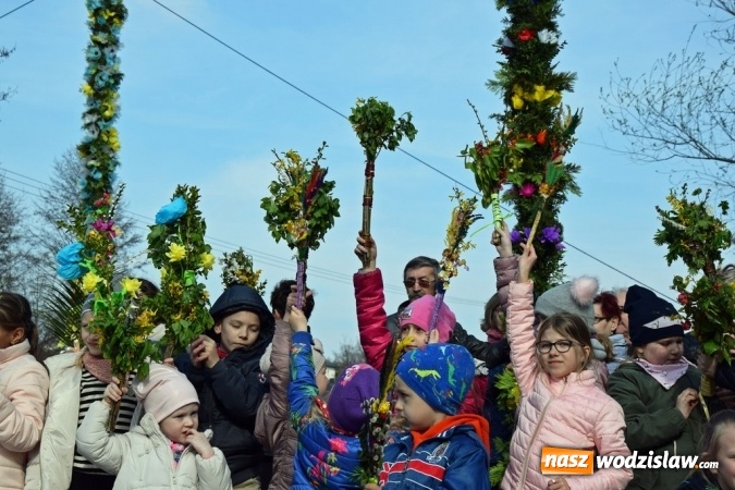 Zdjęcie w galerii na portalu naszwodzislaw.com: Festiwal Palmy w mszańskim parku za nami wiadomości z regionu