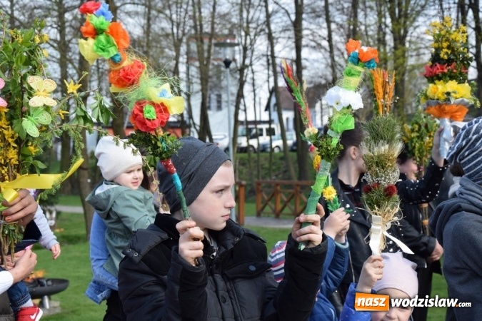 Zdjęcie w galerii na portalu naszwodzislaw.com: Festiwal Palmy w mszańskim parku za nami wiadomości z regionu