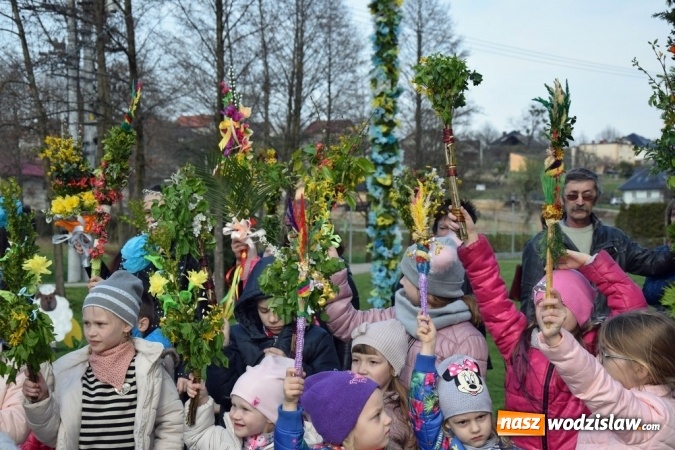 Zdjęcie w galerii na portalu naszwodzislaw.com: Festiwal Palmy w mszańskim parku za nami wiadomości z regionu