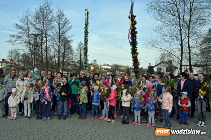 Zdjęcie w galerii na portalu naszwodzislaw.com: Festiwal Palmy w mszańskim parku za nami wiadomości z regionu