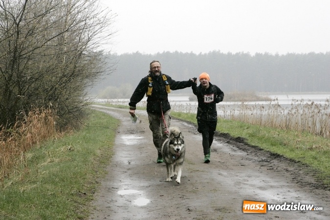 Zdjęcie w galerii na portalu naszwodzislaw.com: Wodzisławianin na podium Pucharu Polski w Dogtrekkingu wiadomości z regionu