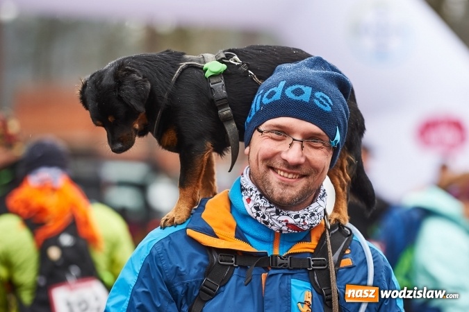 Zdjęcie w galerii na portalu naszwodzislaw.com: Wodzisławianin na podium Pucharu Polski w Dogtrekkingu wiadomości z regionu