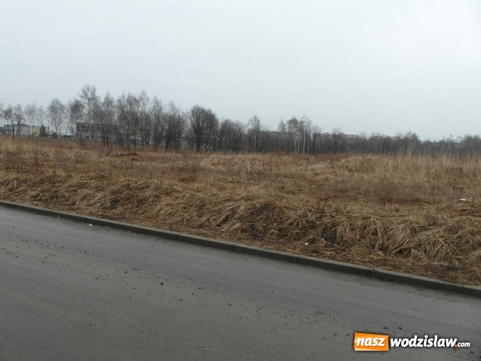 Zdjęcie w galerii na portalu naszwodzislaw.com: Niezabudowana działka przy ul. Batorego na sprzedaż wiadomości z regionu