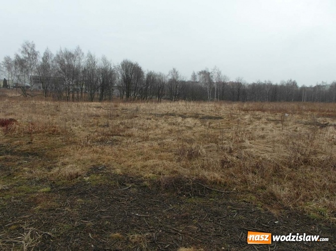 Zdjęcie w galerii na portalu naszwodzislaw.com: Niezabudowana działka przy ul. Batorego na sprzedaż wiadomości z regionu