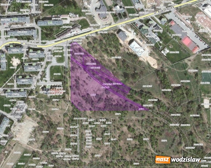 Zdjęcie w galerii na portalu naszwodzislaw.com: Niezabudowana działka przy ul. Batorego na sprzedaż wiadomości z regionu