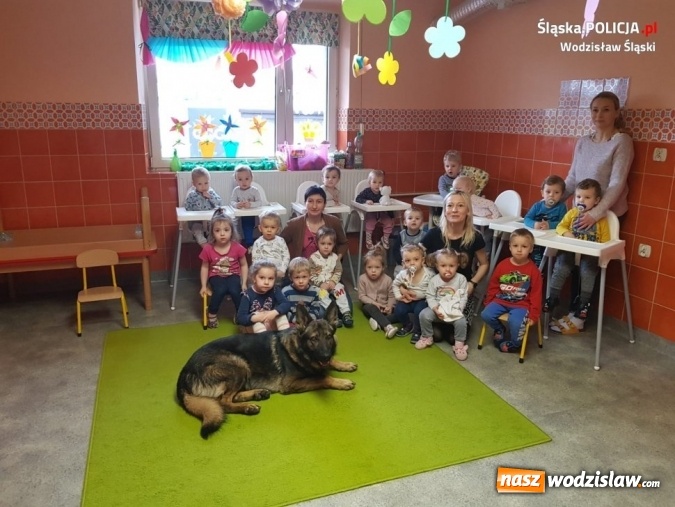Zdjęcie w galerii na portalu naszwodzislaw.com: Policyjny pies Tor z wizytą u dzieci wiadomości z regionu