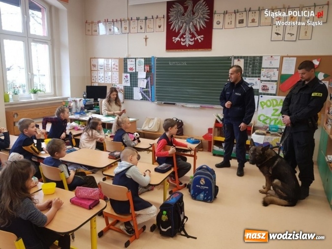Zdjęcie w galerii na portalu naszwodzislaw.com: Policyjny pies Tor z wizytą u dzieci wiadomości z regionu