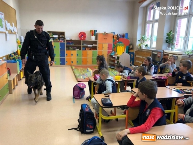 Zdjęcie w galerii na portalu naszwodzislaw.com: Policyjny pies Tor z wizytą u dzieci wiadomości z regionu
