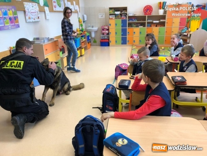 Zdjęcie w galerii na portalu naszwodzislaw.com: Policyjny pies Tor z wizytą u dzieci wiadomości z regionu