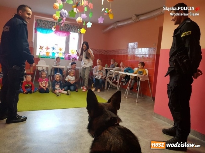 Zdjęcie w galerii na portalu naszwodzislaw.com: Policyjny pies Tor z wizytą u dzieci wiadomości z regionu