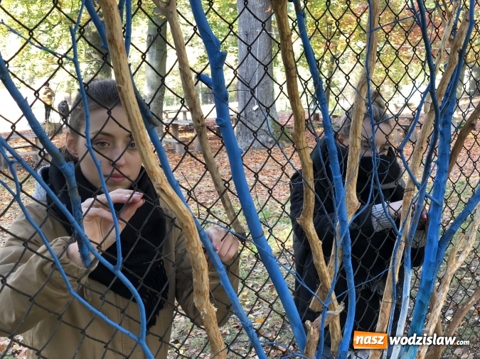 Zdjęcie w galerii na portalu naszwodzislaw.com: Zostań architektem wnętrz. Rewolucyjny program studiów w PWSZ wiadomości z regionu