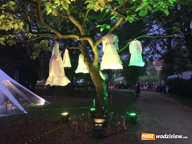 Zdjęcie w galerii na portalu naszwodzislaw.com: Zostań architektem wnętrz. Rewolucyjny program studiów w PWSZ wiadomości z regionu