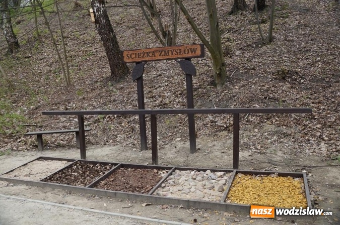 Zdjęcie w galerii na portalu naszwodzislaw.com: W Wodzisławiu trwają ważne inwestycje [FOTO] wiadomości z regionu