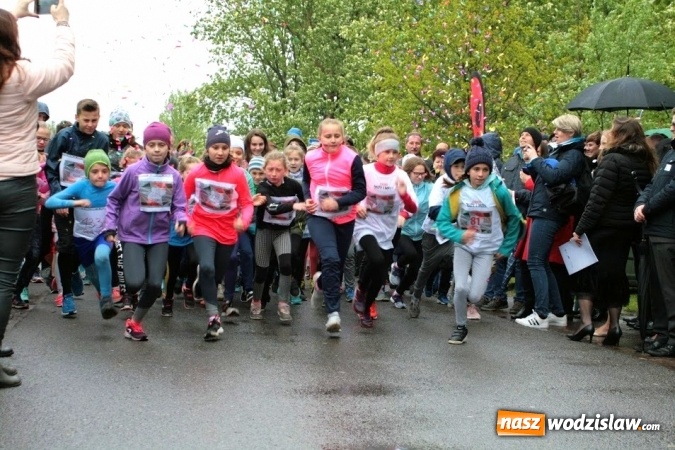 Zdjęcie w galerii na portalu naszwodzislaw.com: Wielki Piknik Powstańczy w gminie Gorzyce [FOTO] wiadomości z regionu