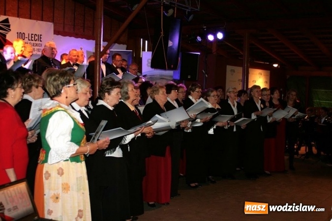 Zdjęcie w galerii na portalu naszwodzislaw.com: Wielki Piknik Powstańczy w gminie Gorzyce [FOTO] wiadomości z regionu