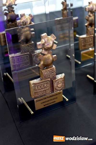 Zdjęcie w galerii na portalu naszwodzislaw.com: Statuetki Powiatowy Lider Przedsiębiorczości 2018 wręczone [FOTO] wiadomości z regionu