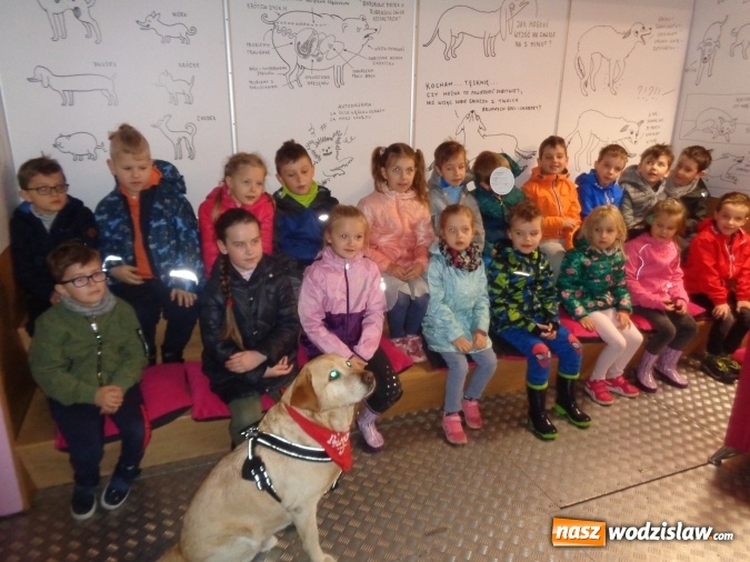 Zdjęcie w galerii na portalu naszwodzislaw.com: Akcja edukacyjna My nie gryziemy w Przedszkolu numer 18 wiadomości z regionu