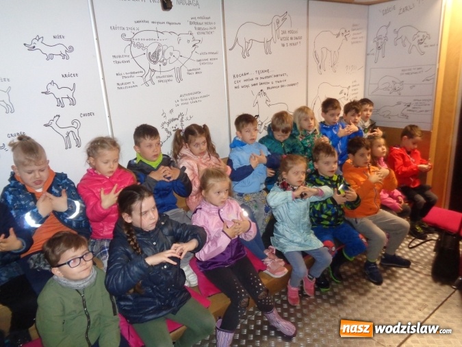 Zdjęcie w galerii na portalu naszwodzislaw.com: Akcja edukacyjna My nie gryziemy w Przedszkolu numer 18 wiadomości z regionu