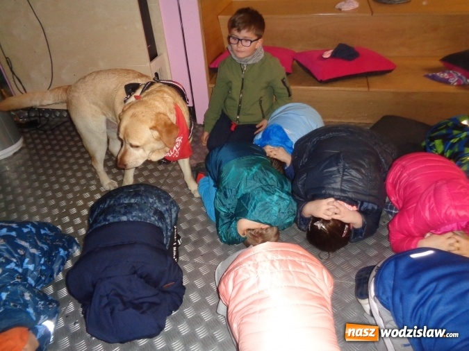 Zdjęcie w galerii na portalu naszwodzislaw.com: Akcja edukacyjna My nie gryziemy w Przedszkolu numer 18 wiadomości z regionu