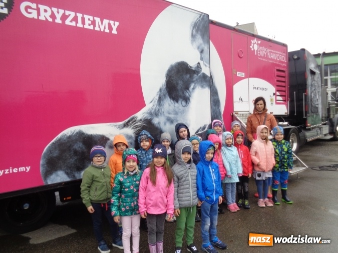 Zdjęcie w galerii na portalu naszwodzislaw.com: Akcja edukacyjna My nie gryziemy w Przedszkolu numer 18 wiadomości z regionu