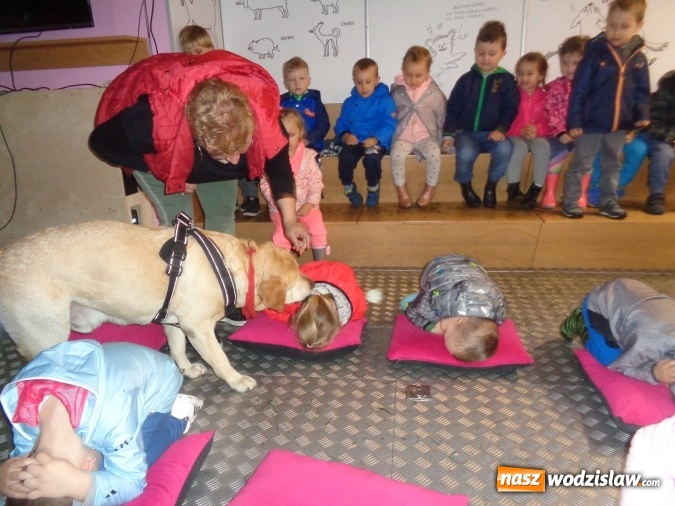 Zdjęcie w galerii na portalu naszwodzislaw.com: Akcja edukacyjna My nie gryziemy w Przedszkolu numer 18 wiadomości z regionu