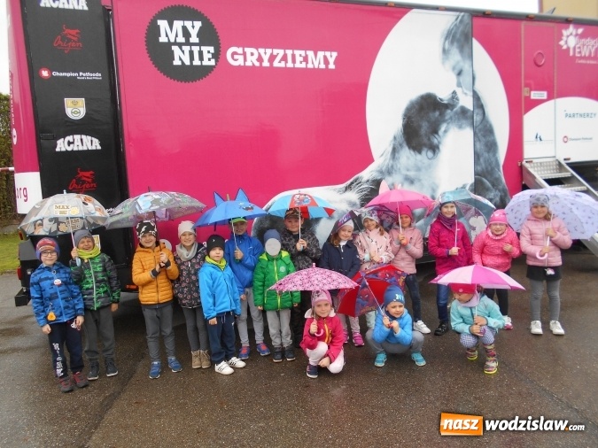 Zdjęcie w galerii na portalu naszwodzislaw.com: Akcja edukacyjna My nie gryziemy w Przedszkolu numer 18 wiadomości z regionu