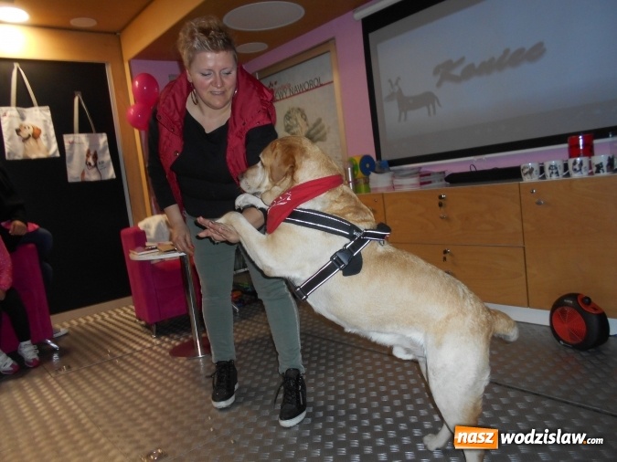 Zdjęcie w galerii na portalu naszwodzislaw.com: Akcja edukacyjna My nie gryziemy w Przedszkolu numer 18 wiadomości z regionu