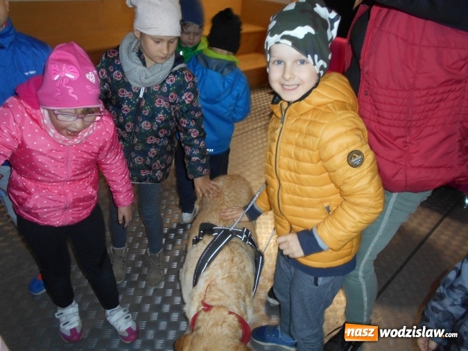 Zdjęcie w galerii na portalu naszwodzislaw.com: Akcja edukacyjna My nie gryziemy w Przedszkolu numer 18 wiadomości z regionu