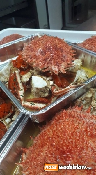 Zdjęcie w galerii na portalu naszwodzislaw.com: Uczniowie rydułtowskiego technikum na praktykach we Włoszech [FOTO] wiadomości z regionu