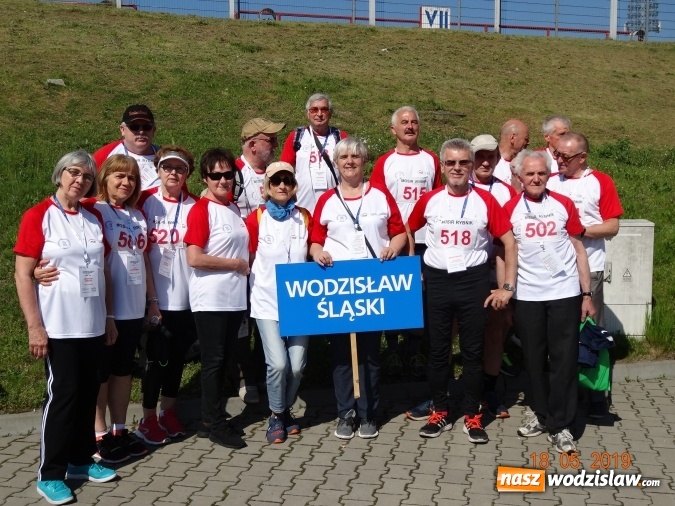 Zdjęcie w galerii na portalu naszwodzislaw.com: Dwanaście medali wodzisławian na V Ogólnopolskiej Olimpiadzie Sportowej Seniorów w Rybniku wiadomości z regionu