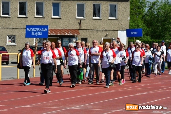 Zdjęcie w galerii na portalu naszwodzislaw.com: Dwanaście medali wodzisławian na V Ogólnopolskiej Olimpiadzie Sportowej Seniorów w Rybniku wiadomości z regionu