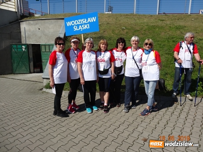 Zdjęcie w galerii na portalu naszwodzislaw.com: Dwanaście medali wodzisławian na V Ogólnopolskiej Olimpiadzie Sportowej Seniorów w Rybniku wiadomości z regionu