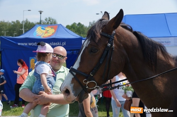 Zdjęcie w galerii na portalu naszwodzislaw.com: Wodzisławski Dzień Matki za nami [FOTO] wiadomości z regionu