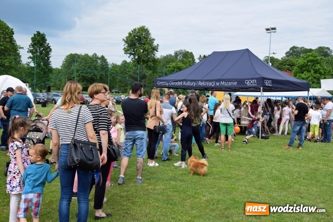 Zdjęcie w galerii na portalu naszwodzislaw.com: Udany Dzień Dziecka z GOKiR Mszana i mega dmuchańcami [FOTO] wiadomości z regionu