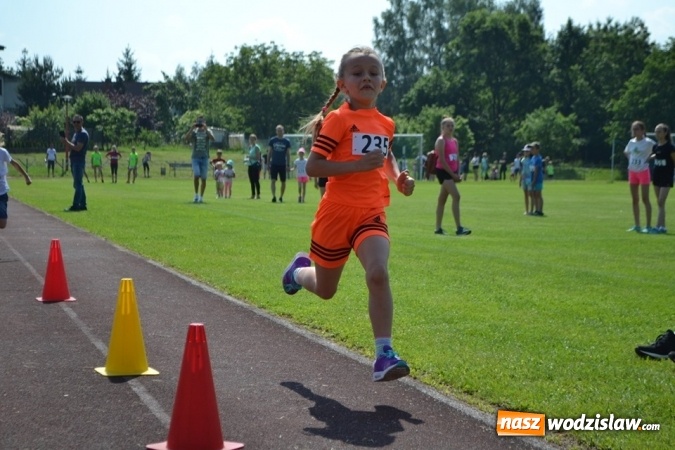 Zdjęcie w galerii na portalu naszwodzislaw.com: W Godowie walczyli o Czekoladowe Kolce [FOTO] wiadomości z regionu