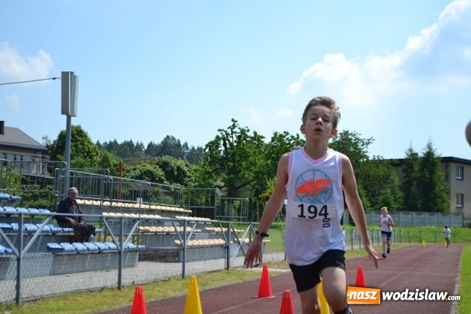 Zdjęcie w galerii na portalu naszwodzislaw.com: W Godowie walczyli o Czekoladowe Kolce [FOTO] wiadomości z regionu
