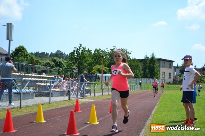 Zdjęcie w galerii na portalu naszwodzislaw.com: W Godowie walczyli o Czekoladowe Kolce [FOTO] wiadomości z regionu