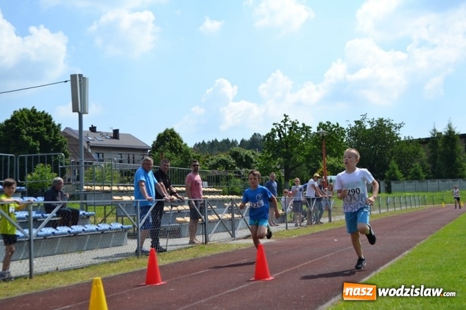 Zdjęcie w galerii na portalu naszwodzislaw.com: W Godowie walczyli o Czekoladowe Kolce [FOTO] wiadomości z regionu