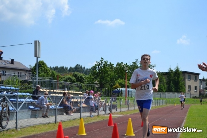 Zdjęcie w galerii na portalu naszwodzislaw.com: W Godowie walczyli o Czekoladowe Kolce [FOTO] wiadomości z regionu