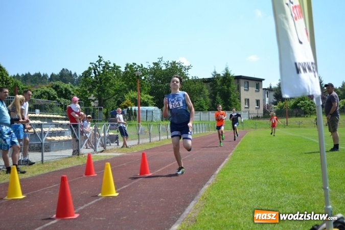 Zdjęcie w galerii na portalu naszwodzislaw.com: W Godowie walczyli o Czekoladowe Kolce [FOTO] wiadomości z regionu