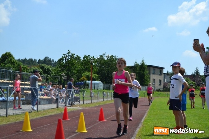 Zdjęcie w galerii na portalu naszwodzislaw.com: W Godowie walczyli o Czekoladowe Kolce [FOTO] wiadomości z regionu