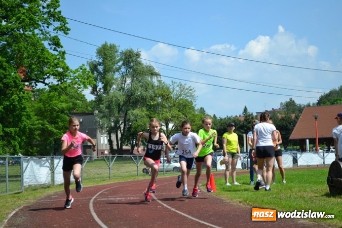 Zdjęcie w galerii na portalu naszwodzislaw.com: W Godowie walczyli o Czekoladowe Kolce [FOTO] wiadomości z regionu
