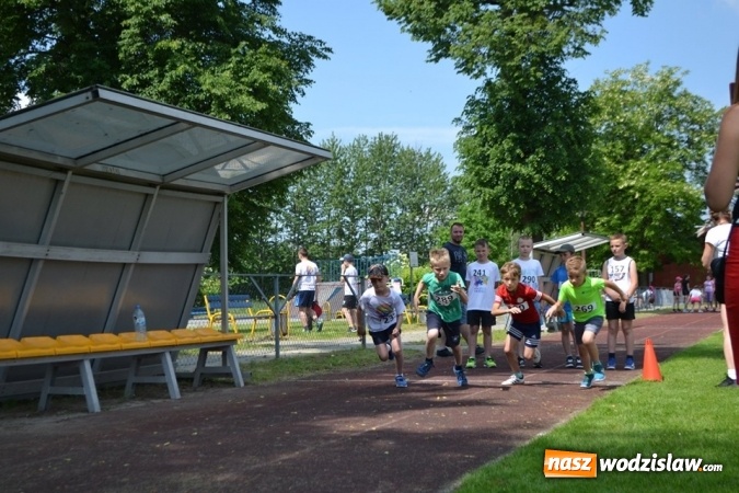 Zdjęcie w galerii na portalu naszwodzislaw.com: W Godowie walczyli o Czekoladowe Kolce [FOTO] wiadomości z regionu