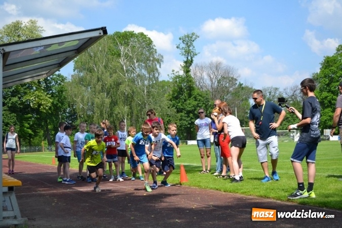 Zdjęcie w galerii na portalu naszwodzislaw.com: W Godowie walczyli o Czekoladowe Kolce [FOTO] wiadomości z regionu